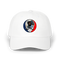 1646 - Custom Stealie Dad Hat
