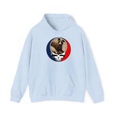 1363 - Custom Stealie Hoodie