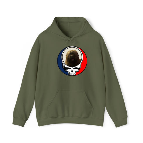 1461 - Custom Stealie Hoodie