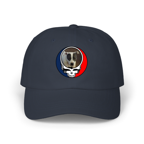 1688 - Custom Stealie Dad Hat