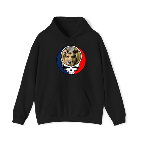1449 - Custom Stealie Hoodie