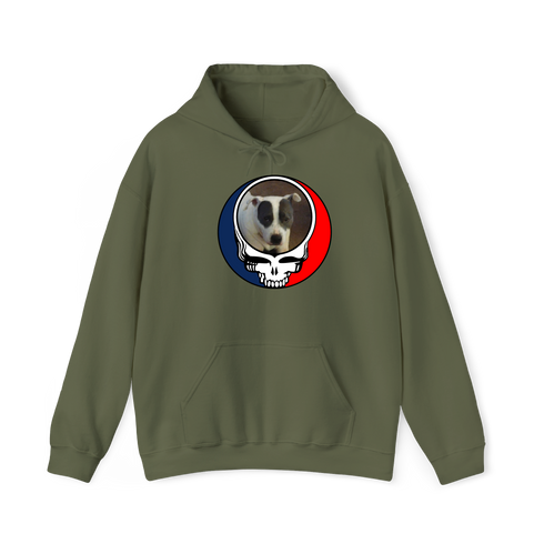 1688 - Custom Stealie Hoodie