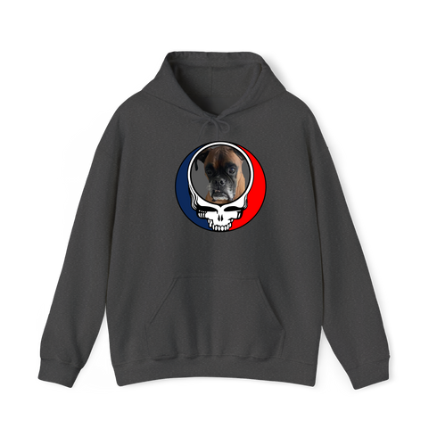 1451 - Custom Stealie Hoodie