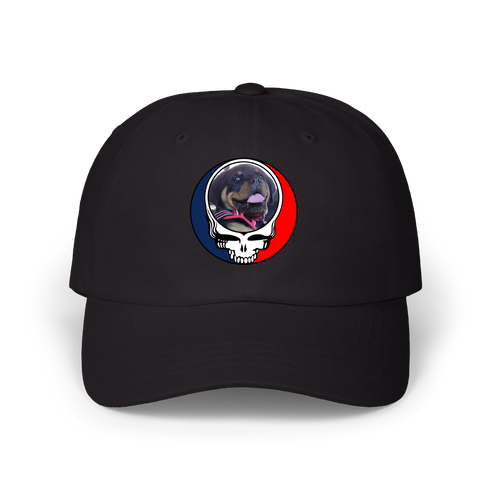 1639 - Custom Stealie Dad Hat