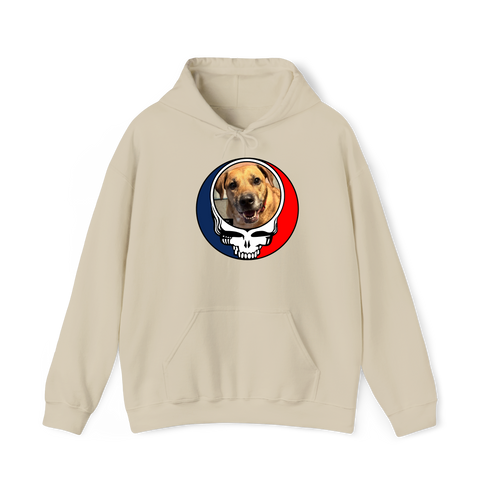 1672 - Custom Stealie Hoodie