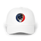 1459 - Custom Stealie Dad Hat