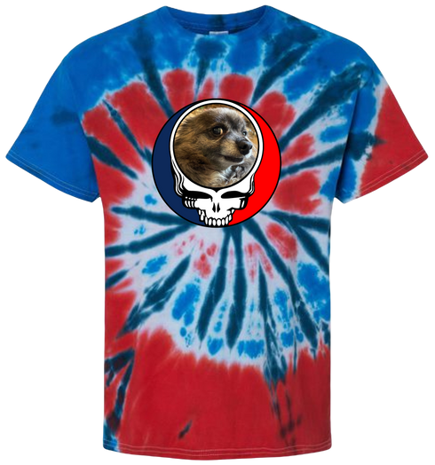 1745 - Custom Stealie Tie-Dye