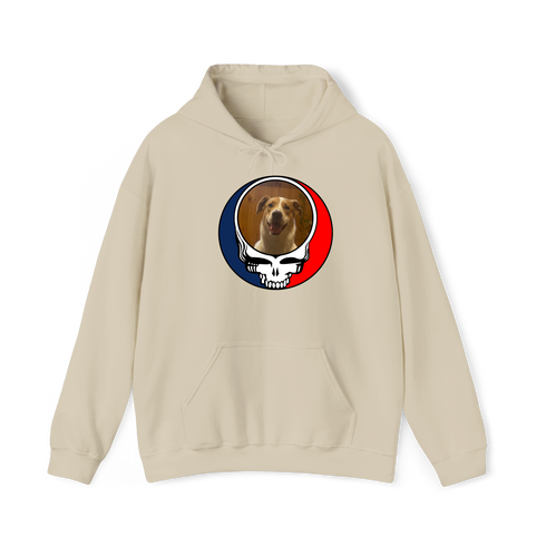 1656 - Custom Stealie Hoodie