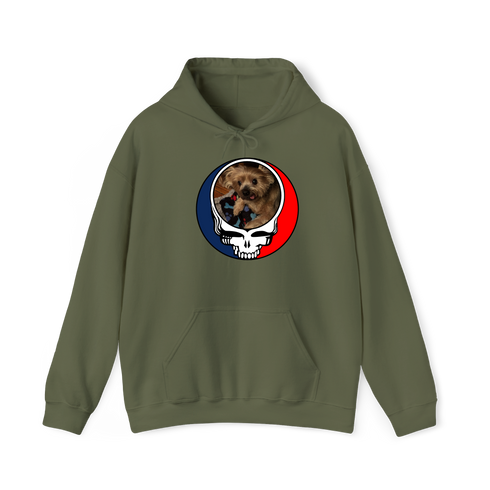 1349 - Custom Stealie Hoodie