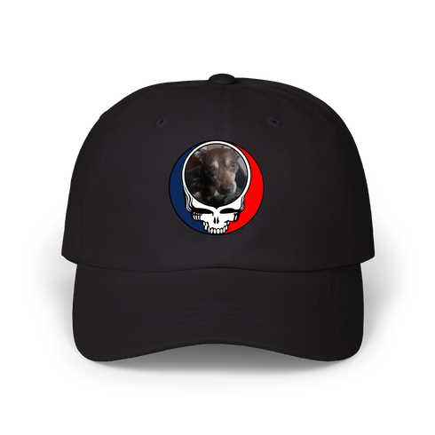 1560 - Custom Stealie Dad Hat