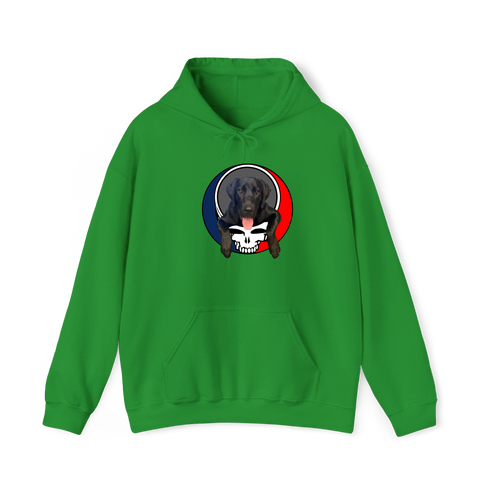 1620 - Custom Stealie Hoodie