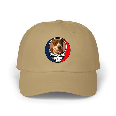 1614 - Custom Stealie Dad Hat