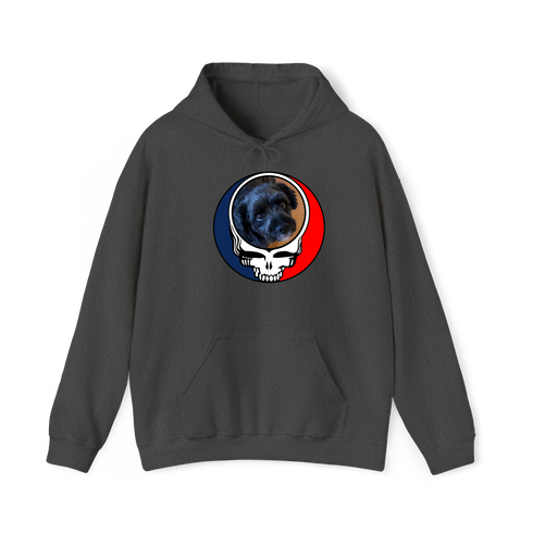 1459 - Custom Stealie Hoodie