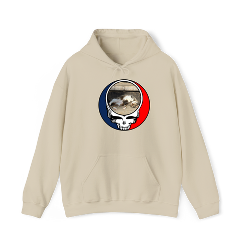 1661 - Custom Stealie Hoodie