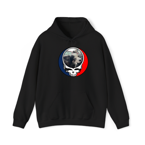 1715 - Custom Stealie Hoodie