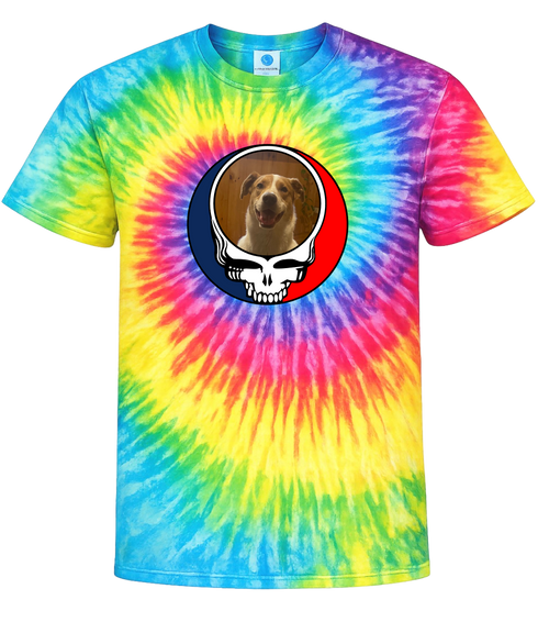1656 - Custom Stealie Tie-Dye