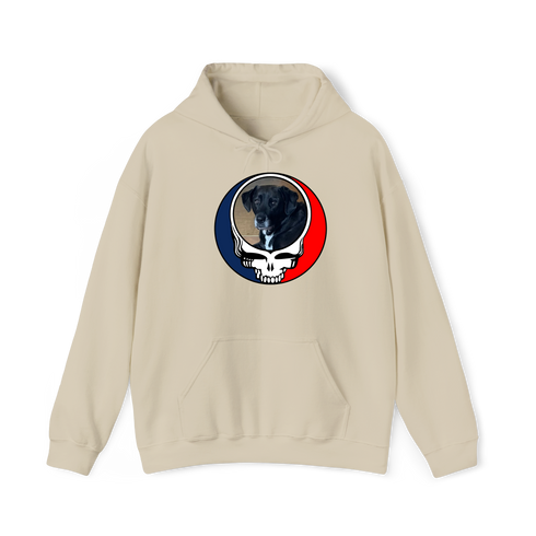 1568 - Custom Stealie Hoodie