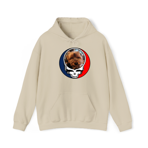 1625 - Custom Stealie Hoodie
