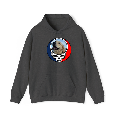 1706 - Custom Stealie Hoodie