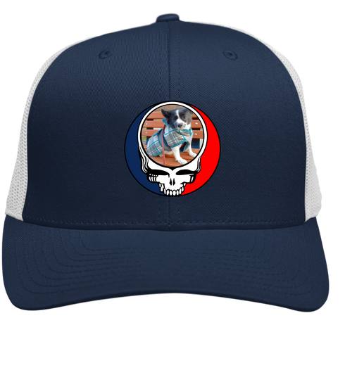 Navy/White