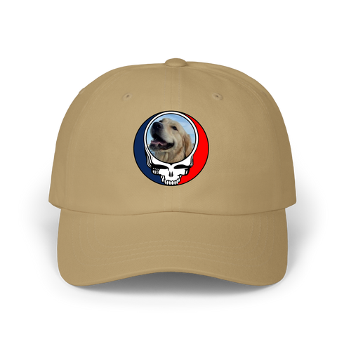 1698 - Custom Stealie Dad Hat