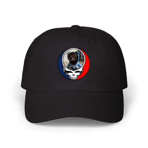 1646 - Custom Stealie Dad Hat