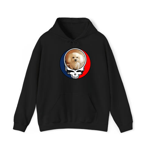 1641 - Custom Stealie Hoodie