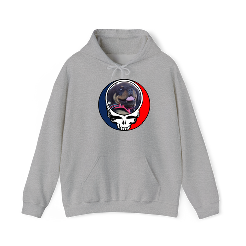 1639 - Custom Stealie Hoodie