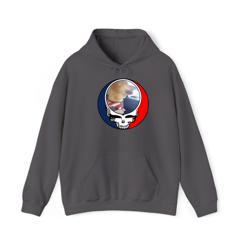 1647 - Custom Stealie Hoodie