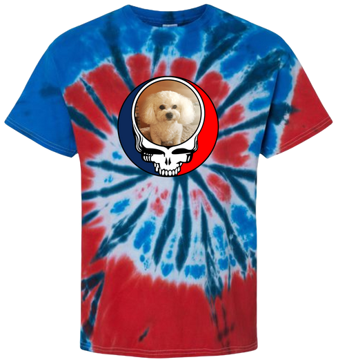 1641 - Custom Stealie Tie-Dye