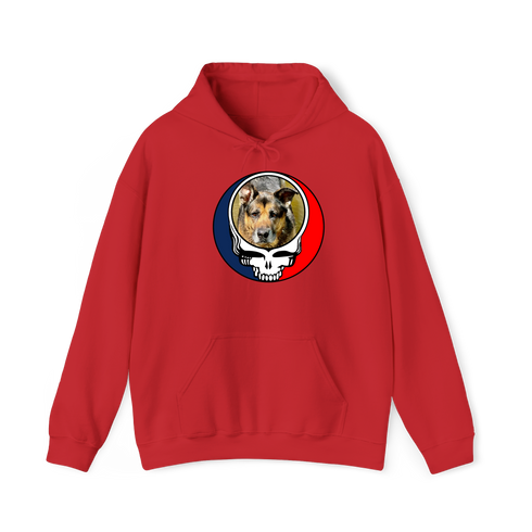 1449 - Custom Stealie Hoodie