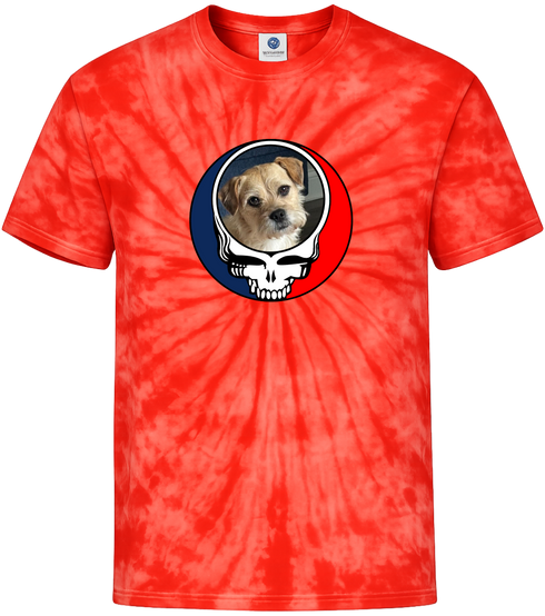 1650 - Custom Stealie Tie-Dye