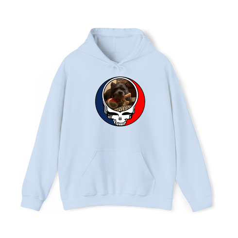 1544 - Custom Stealie Hoodie