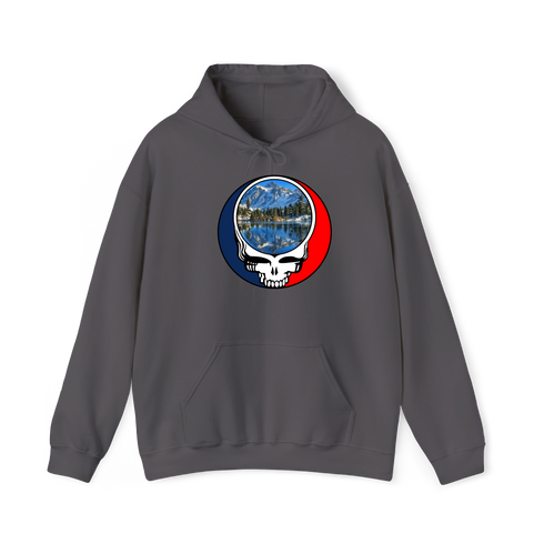 1725 - Custom Stealie Hoodie