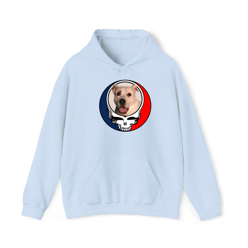 1543 - Custom Stealie Hoodie