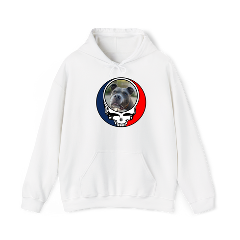 1545 - Custom Stealie Hoodie