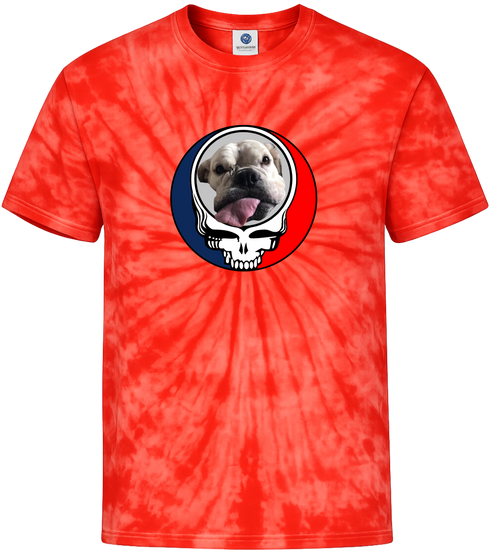 1695 - Custom Stealie Tie-Dye