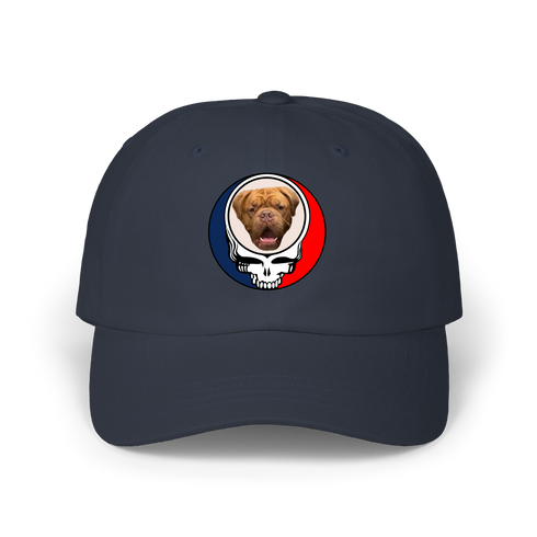 1566 - Custom Stealie Dad Hat