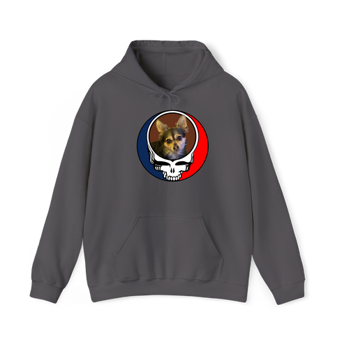 1447 - Custom Stealie Hoodie
