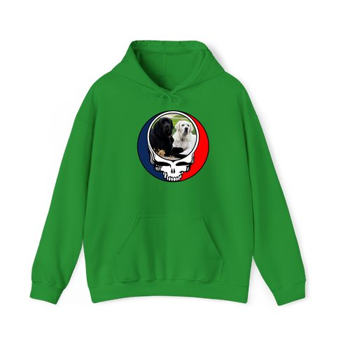 1619 - Custom Stealie Hoodie