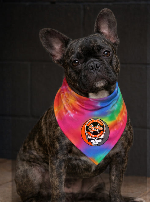 Baltimore Orioles Stealie Grateful Dead Dog Bandana - Fits Most Dogs
