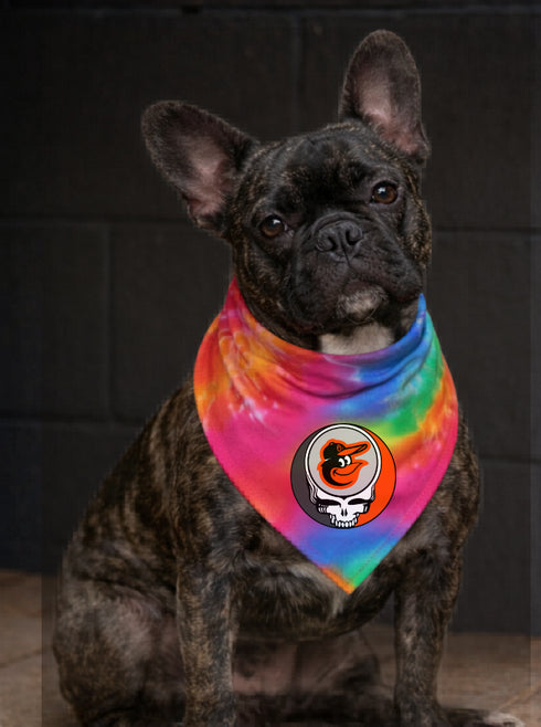 Baltimore Orioles Stealie Grateful Dead Dog Bandana - Fits Most Dogs