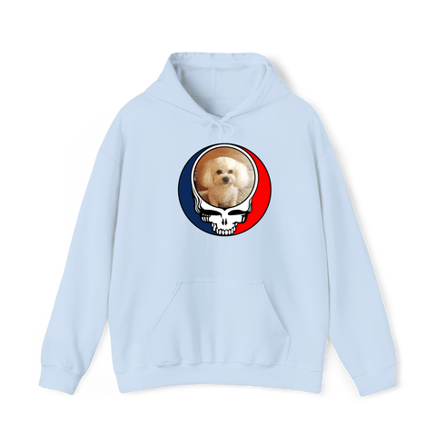 1641 - Custom Stealie Hoodie
