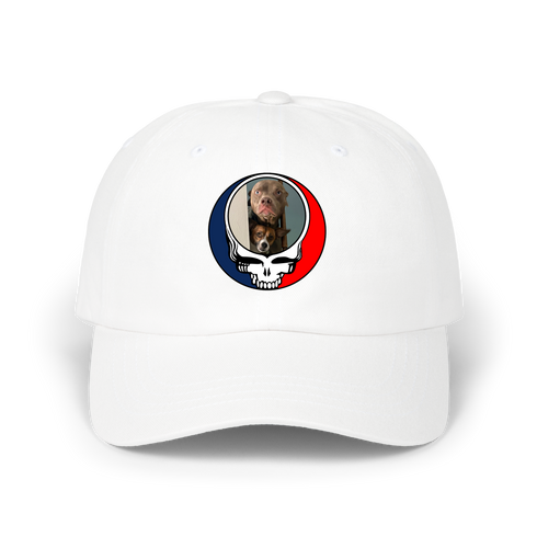 1629 - Custom Stealie Dad Hat