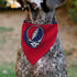 Grateful Dead - Pet Bandana - Grateful Dead Steal Your Face Logo Centered Red and Blue - StealieShop
