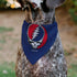 Grateful Dead - Pet Bandana - Grateful Dead Steal Your Face Logo Centered Red and Blue - StealieShop