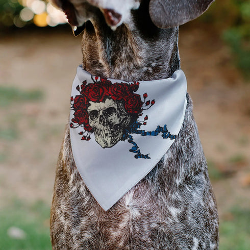 Grateful Dead - Pet Bandana - Grateful Dead Skull and Rose Face White - StealieShop