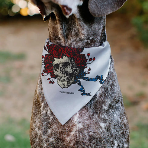 Grateful Dead - Pet Bandana - Grateful Dead Skull and Rose Face White - StealieShop