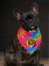 San Diego Padres Stealie Grateful Dead Dog Bandana - Fits Most Dogs