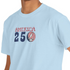America 250 Stealie Life is dead.® Grateful Dead T-Shirt - 4th of July